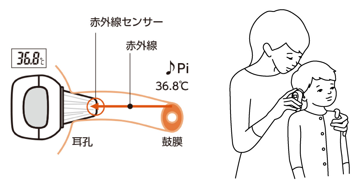 �̉��v�����