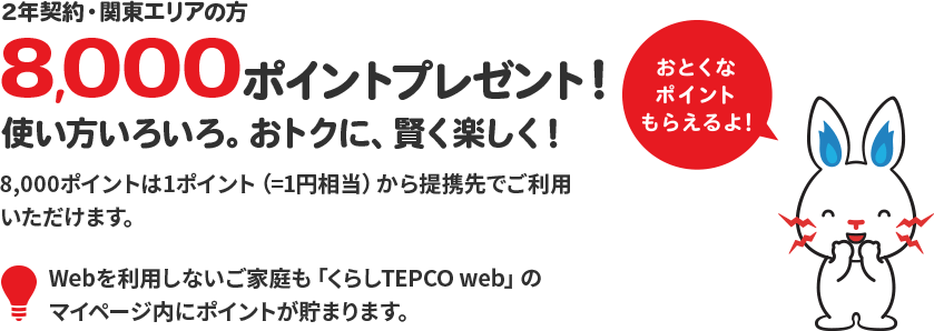 TEPCO関東エリア