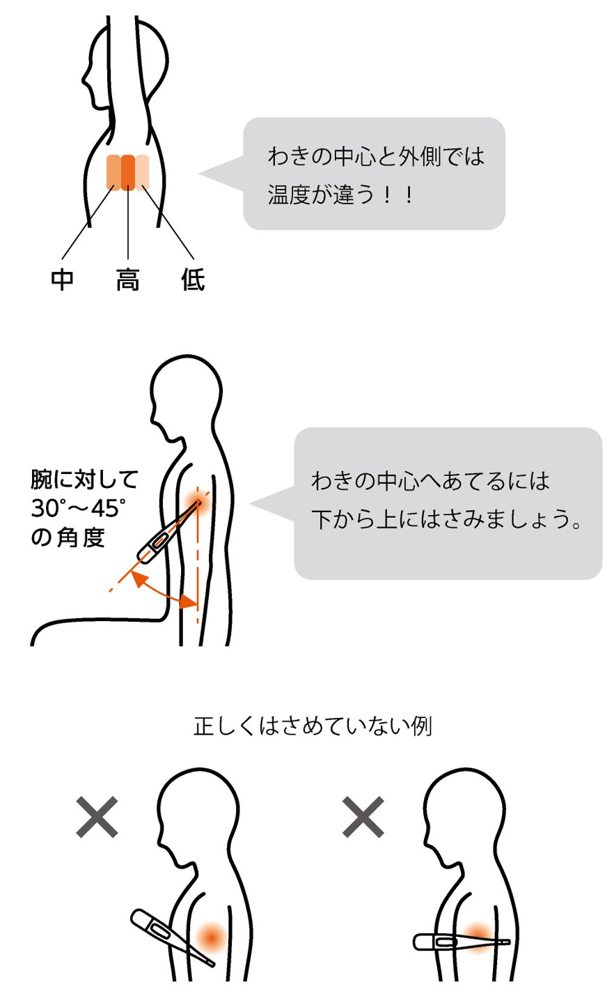 �̉��v�����