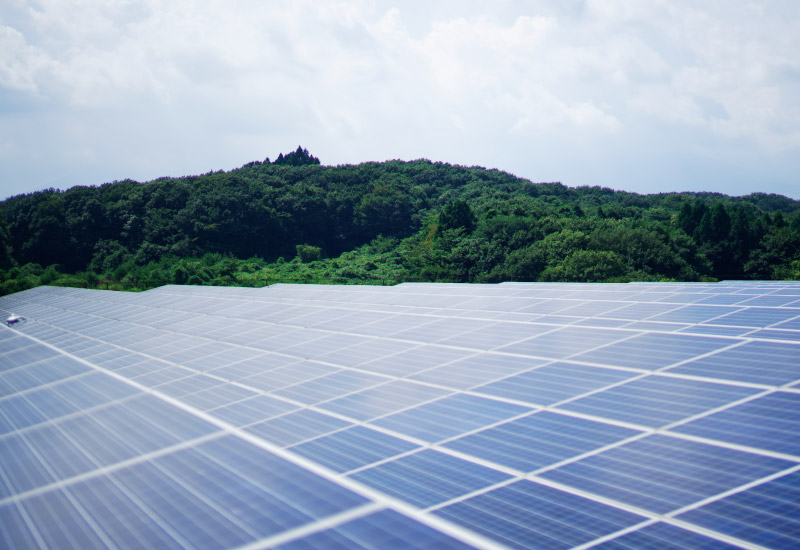 ���R�d�͂̂ł�