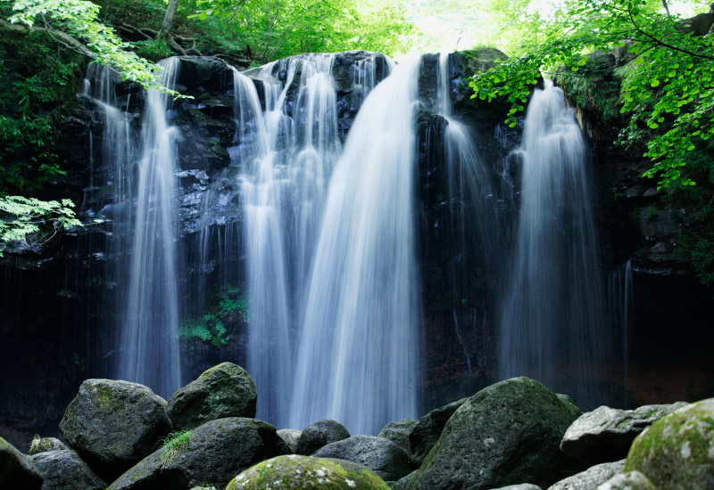 ���R�d�͂̂ł�